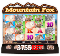 3755bet,3755bet.com